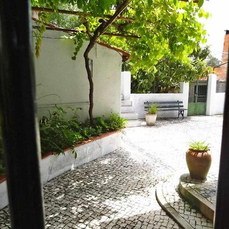 Casa Dos Pocinhos Ferias Tranquilas No Campo Торес Новас Екстериор снимка